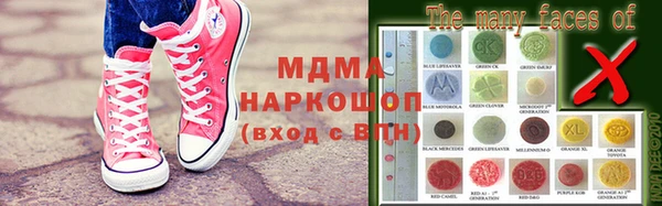 прущие грибы Елизово